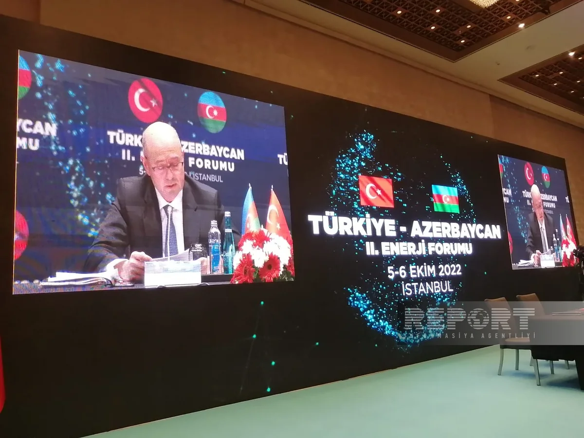 Pərviz Şahbazov: Enerji böhranı şəraitində TANAP və TAP təchizatda etibarlılıq rəmzinə çevrilib