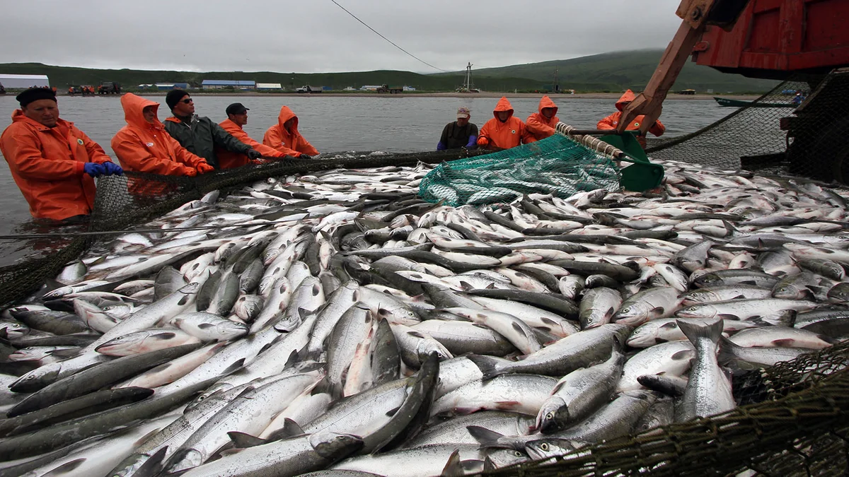 EU to discuss restrictions on fresh fish imports from Russia