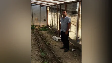 Novxanıda istixanada çətənə kolları aşkarlanıb