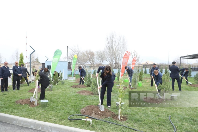 Представители ООН приняли участие в посадке деревьев в Агдаме