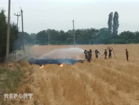 Bərdədə yanğın yanacaqdoldurma məntəqəsi üçün təhlükəli vəziyyət yaradıb - FOTO