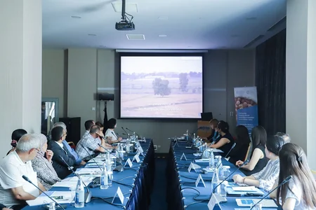 Azərbaycanda fındıq qalıqlarından bioenerji alına bilər