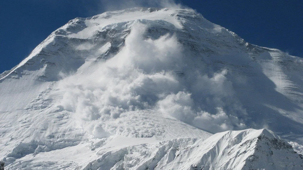 FHN vətəndaşlara müraciət edib