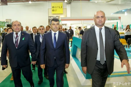 31 ölkəni birləşdirən sərgidən  - FOTOREPORTAJ