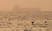 UKMTO: В водах Ормузского пролива фиксируются электронные помехи