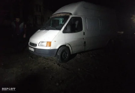 В Гахе лошадь стала причиной аварии, пострадала женщина - ФОТО