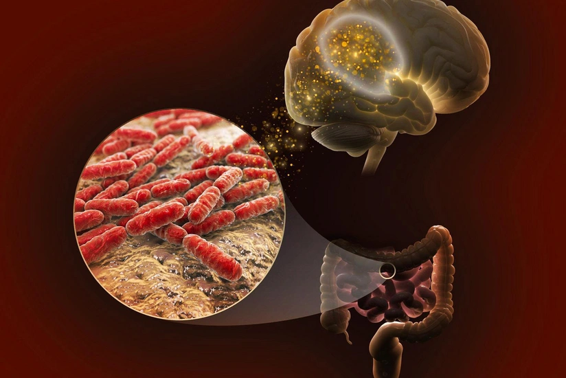 Scientists discover molecule that strengthens memory