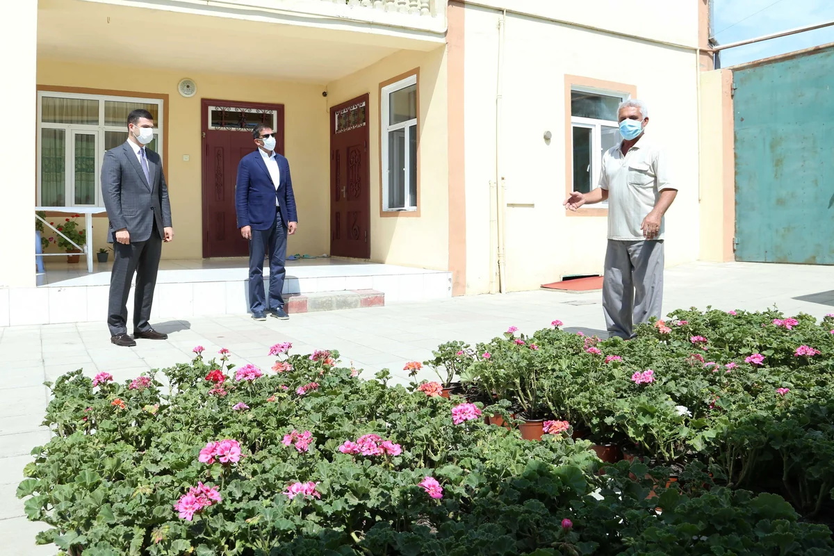 Abşeronda yaşayan aztəminatlı ailələrə verilən müxtəlif bitkilər gələcəkdə ixrac edilə bilər