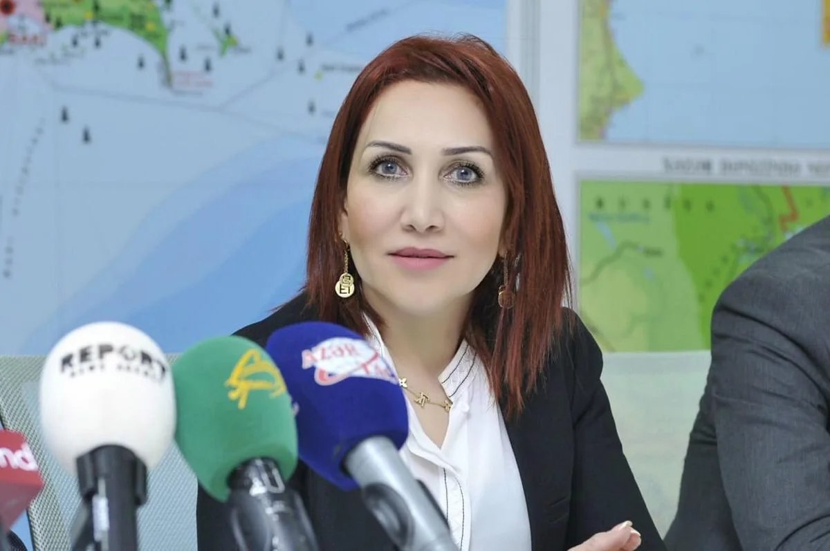 ETSN rəsmisi: Meteorologiya sahəsində gənc mütəxəssislərə ehtiyac var