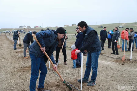 Report News Agency takes part in tree planting campaign - VIDEO