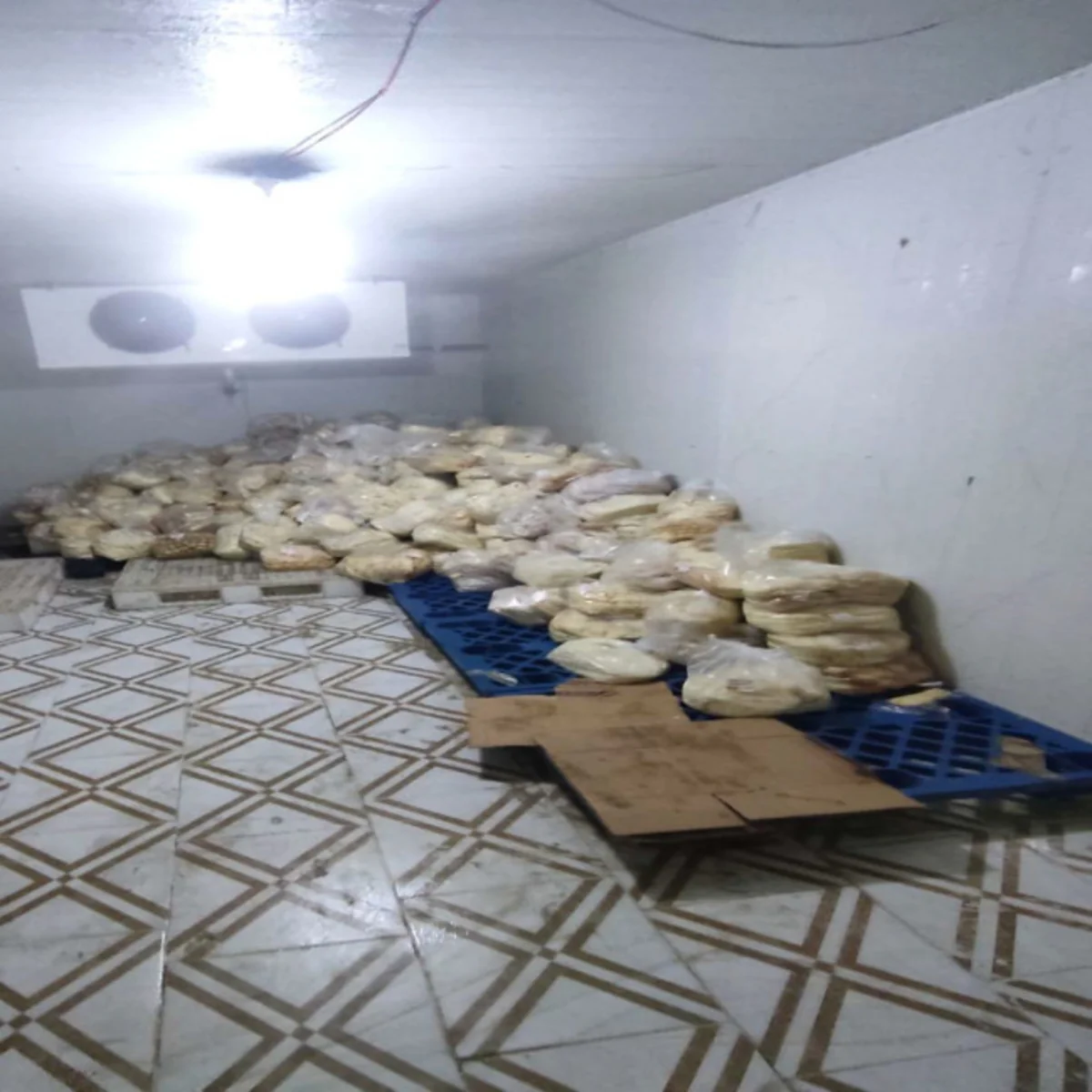 Bakıda qanunsuz fəaliyyət göstərən pendir anbarı aşkarlanıb
