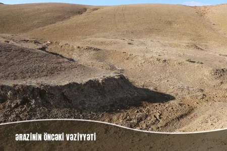 Müşfiqabadda son bir ayda 16 mindən artıq ağac əkilib