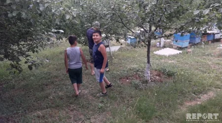 Azərbaycanın şimalında turistlər otellərdə yox, evlərdə qalmağa üstünlük verirlər - VİDEOREPORTAJ