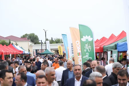 Saatlıda növbəti Aqrar Biznes Festivalı keçirilib
