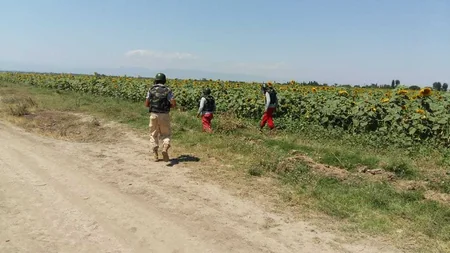 Samuxda 1 ədəd top mərmisi tapılıb