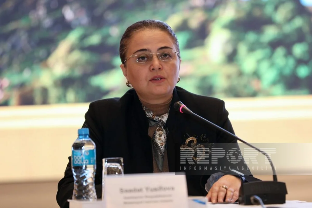 Nazir müavini: Ermənistanda islam abidələrinin heç biri Azərbaycan irsi kimi göstərilməyib