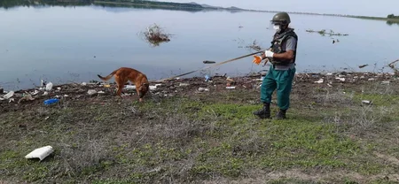ANAMA Qazax və Ağstafada silah-sursat aşkarladı