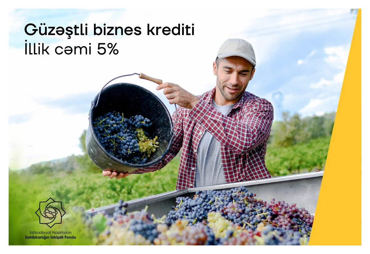 Yelo Bankdan illik cəmi 5%-lik kreditlə biznes dəstəyi