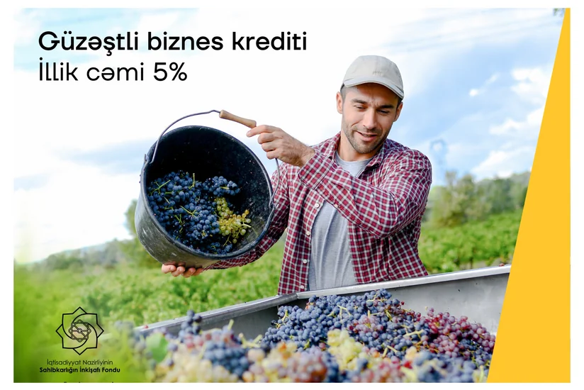 Yelo Bankdan illik cəmi 5%-lik kreditlə biznes dəstəyi