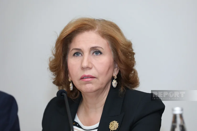 Bahar Muradova: Məişət zorakılığı ilə bağlı yeni fəaliyyət planı üzərində işləməliyik