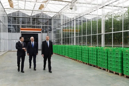 Prezident İlham Əliyev Zirə qəsəbəsində “BAKU AGROPARK”da görülən işlərlə tanış olub