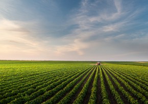 Аграрный сектор в Азербайджане увеличился более чем на 3%