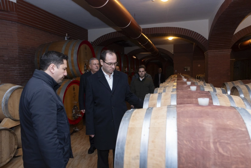 Məcnun Məmmədov şərab və quşçuluq müəssisələrinin fəaliyyəti ilə tanış olub