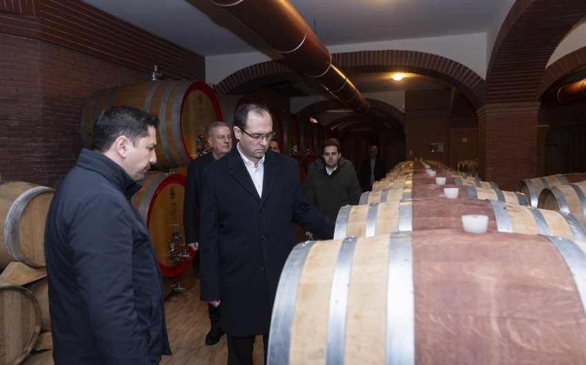 Məcnun Məmmədov şərab və quşçuluq müəssisələrinin fəaliyyəti ilə tanış olub