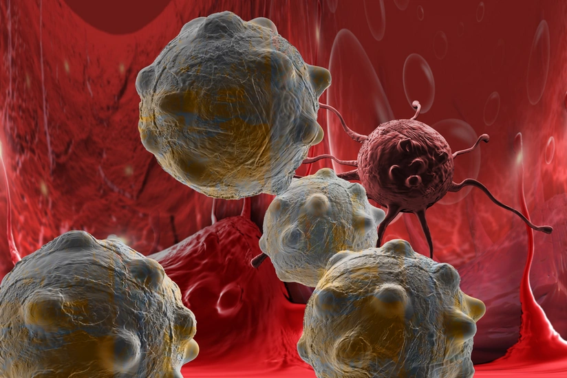 Food reducing risk of cancer named