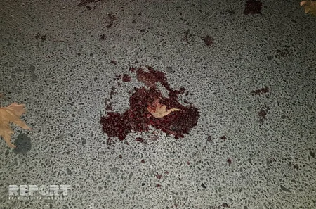 Göyçayda piyadanı maşın vuraraq öldürüb - FOTO - YENİLƏNİB