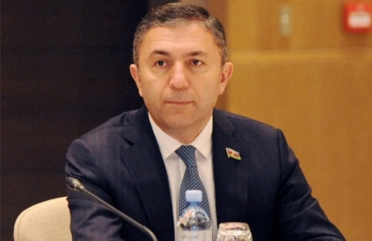 Parlamentin komitə sədri insanları təşvişə düşməməyə çağırdı