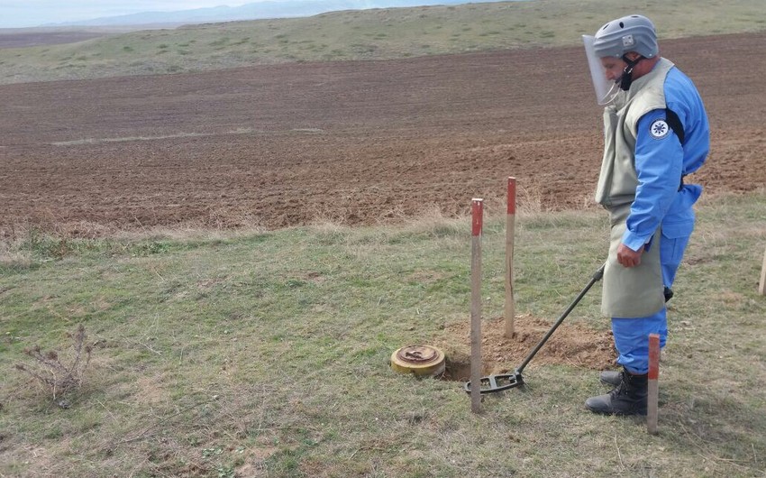 Füzulidə partlamamış top mərmisi və tank əleyhinə mina tapılıb