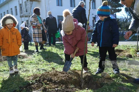 Xocalı soyqırımının qurbanı olan uşaqların xatirəsinə Bakıda 63 ağac əkilib