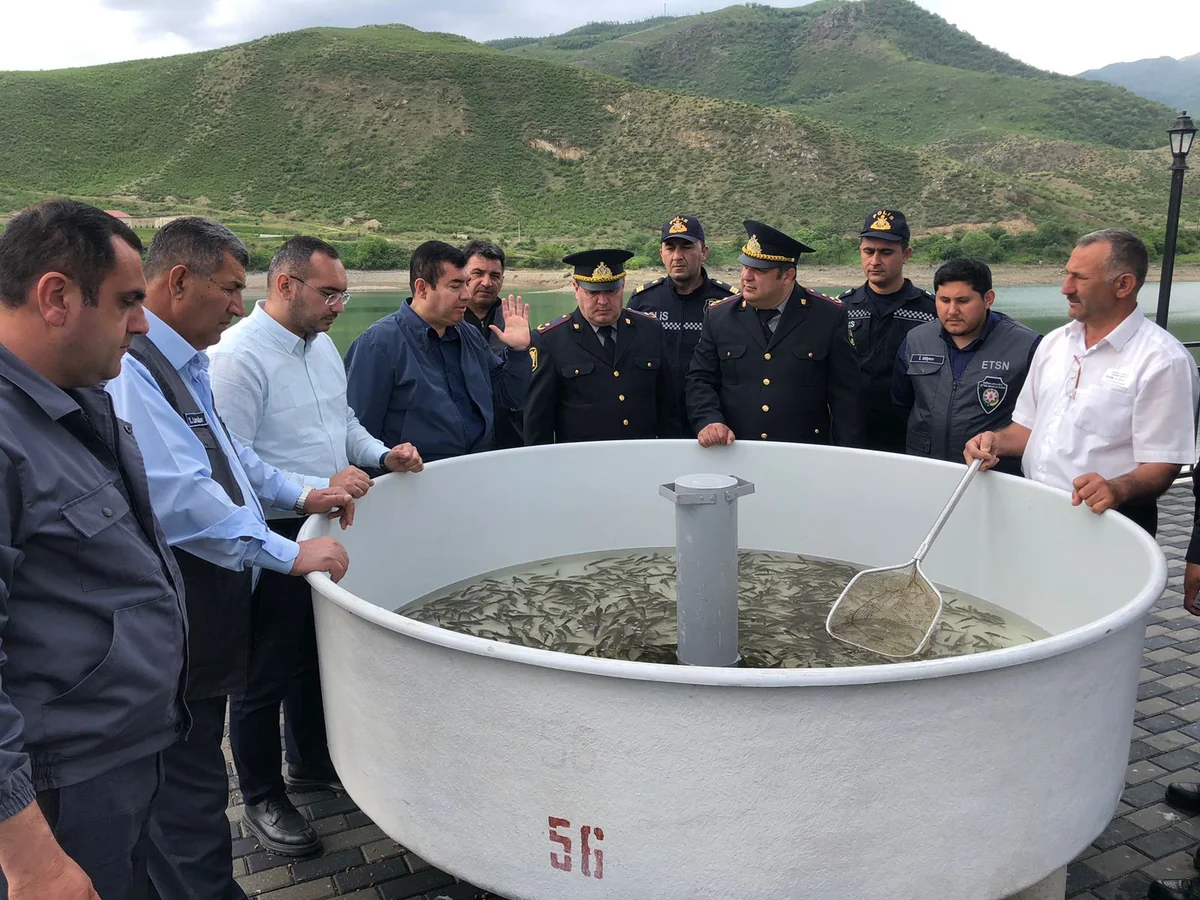 Suqovuşan su anbarına balıq körpələri buraxılıb