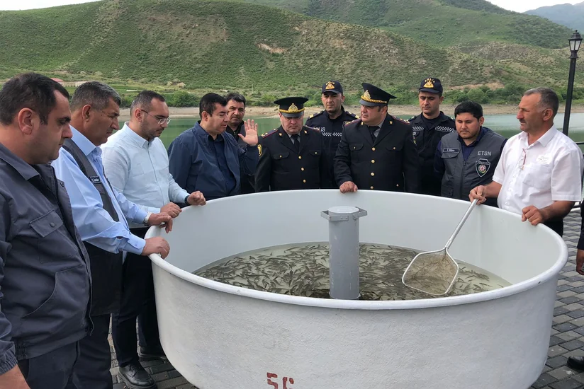 Suqovuşan su anbarına balıq körpələri buraxılıb