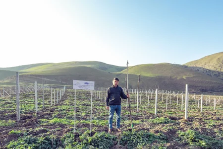 Bu il daha 250 aztəminatlı ailə üçün bağ salınacaq  