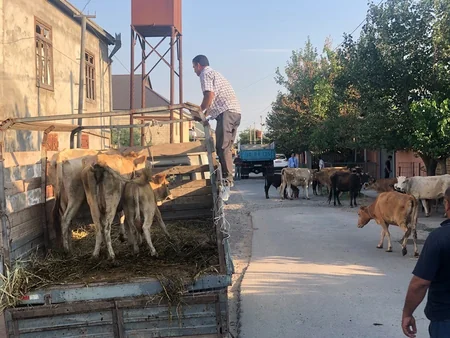 Support in launching private household rendered to family that moved from Europe to Azerbaijan
