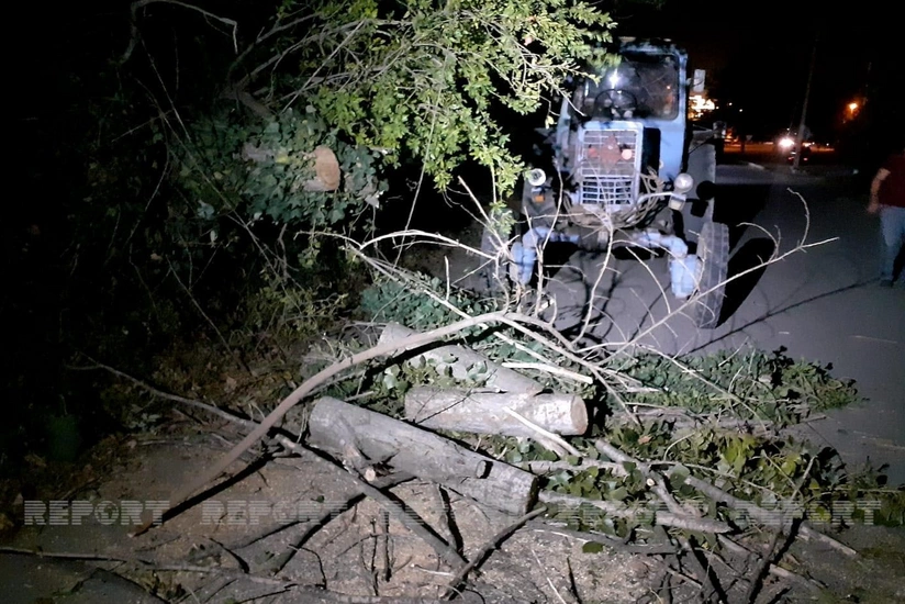 Gəncədə güclü külək fəsadlar törədib