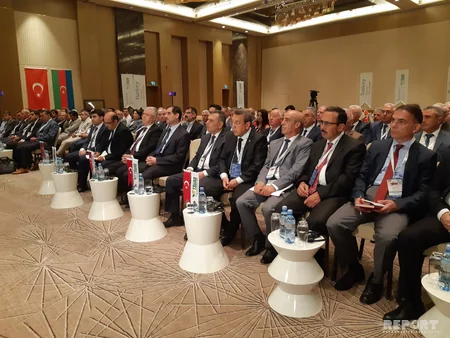 Azərbaycan bu il Türkiyədən 16 min tondan çox bitki toxumu alıb