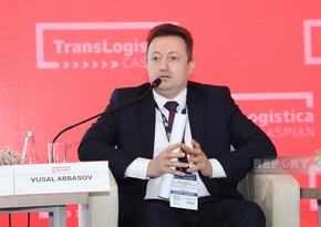 Azərbaycanda elektrik və hibrid avtomobillərinə dair vergi güzəştlərinin uzadılması üçün qiymətləndirmə aparılır 