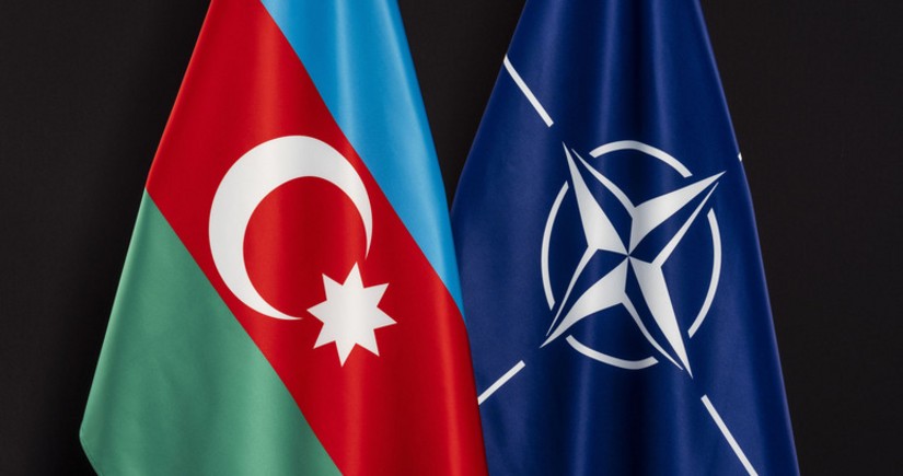 Azerbaijan's Mission at NATO expresses commitment to bilateral partnership