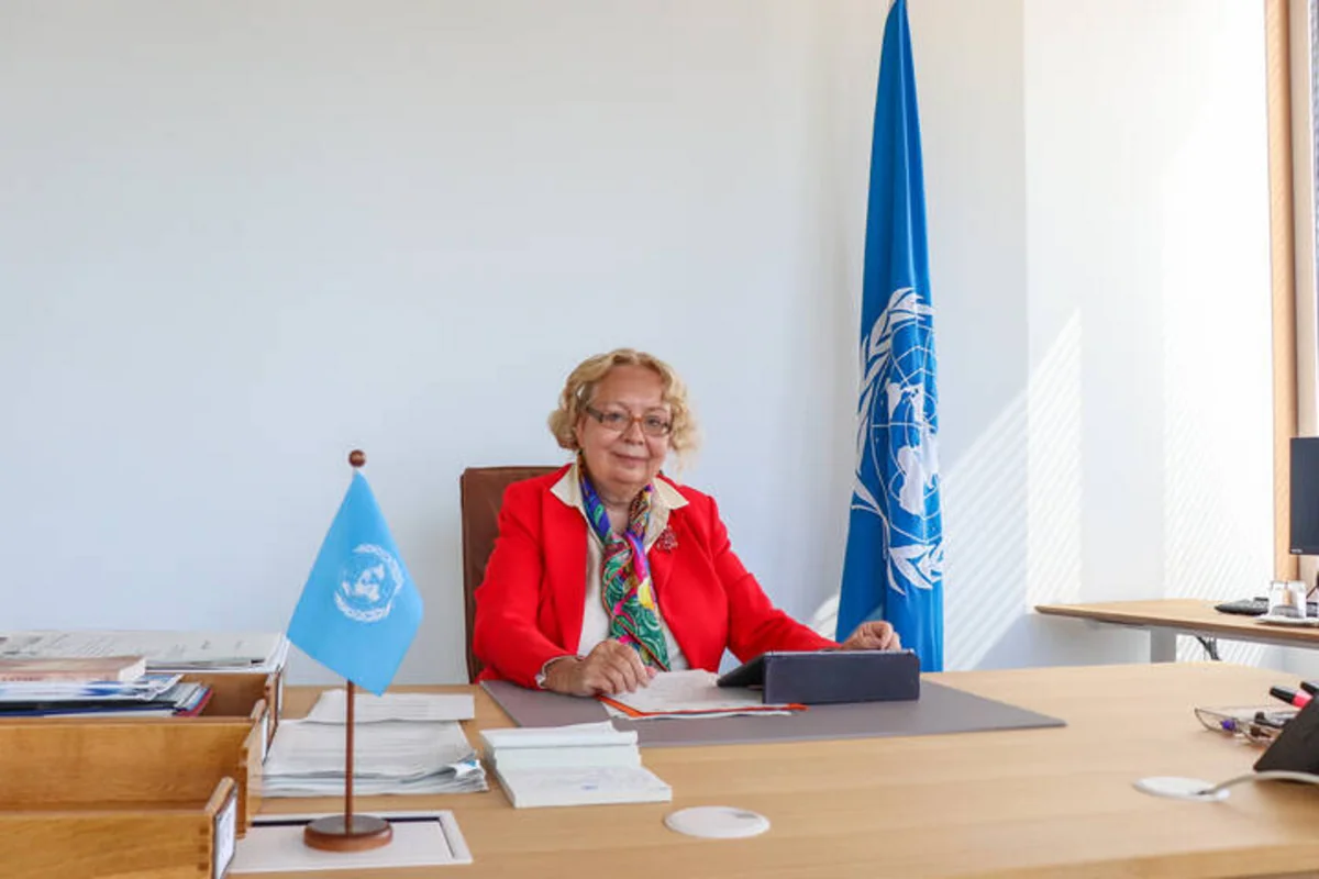 UN official advocates for multilateralism reforms to address 21st century challenges