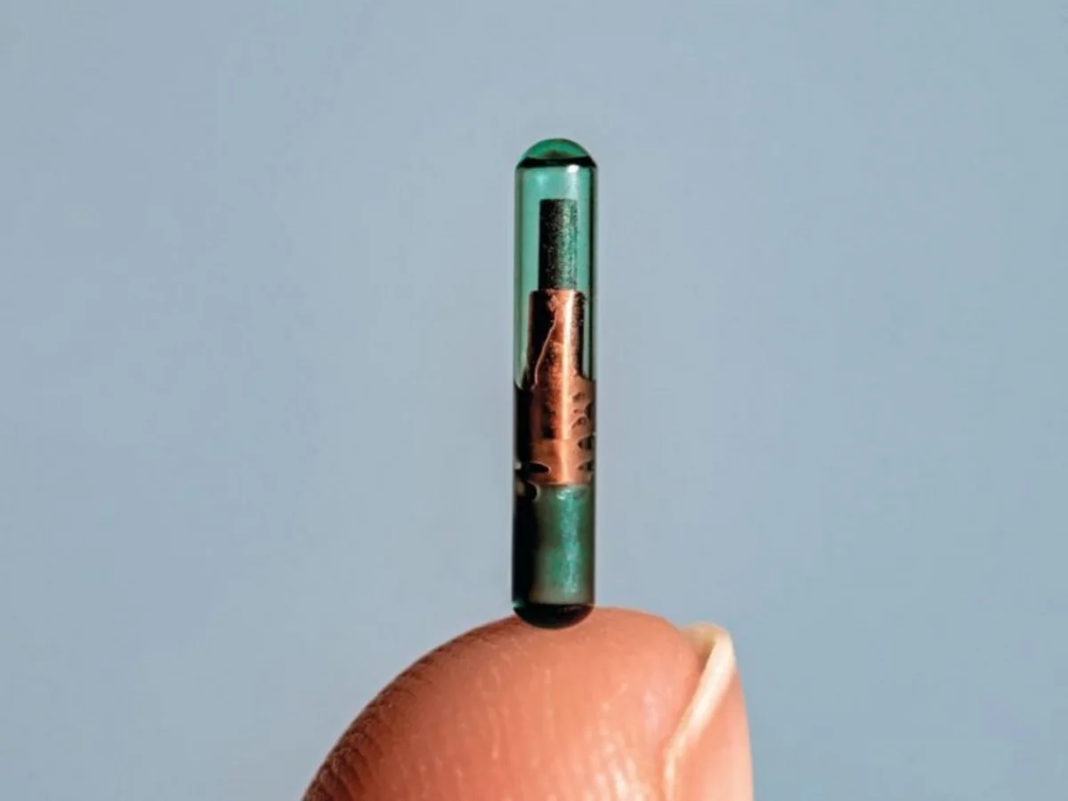 Subcutaneous chips to go on sale in Georgia next year