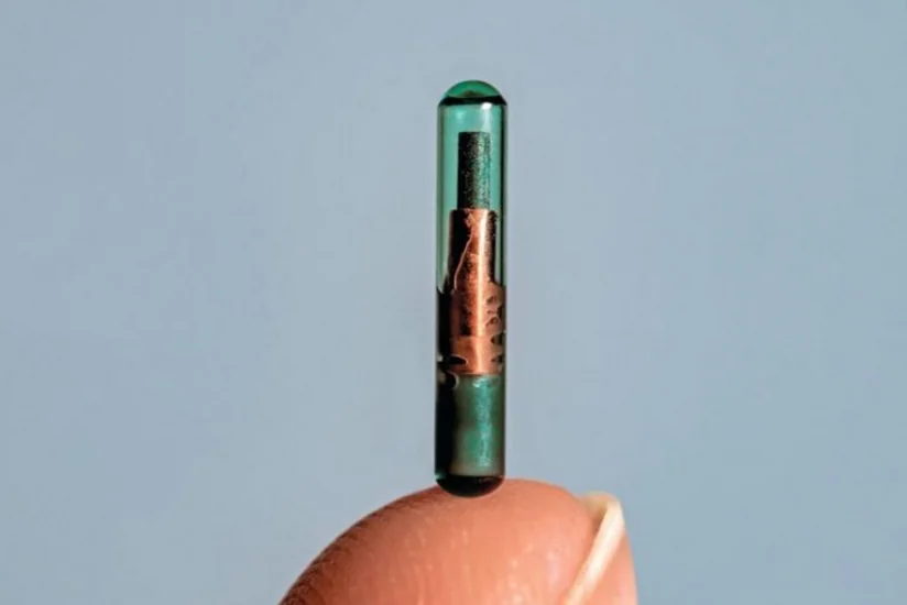 Subcutaneous chips to go on sale in Georgia next year