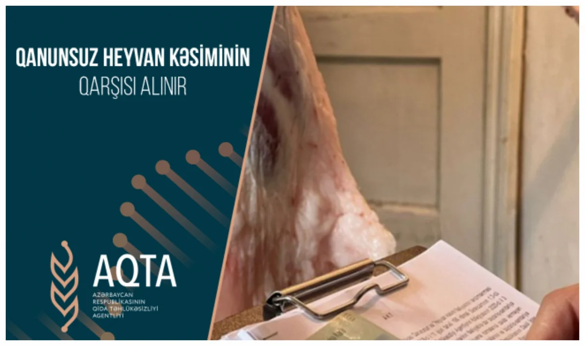 Doqquz heyvan kəsimi və ət satışı məntəqəsi ilə bağlı inzibati tədbir görülüb