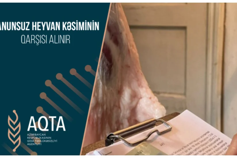 Doqquz heyvan kəsimi və ət satışı məntəqəsi ilə bağlı inzibati tədbir görülüb