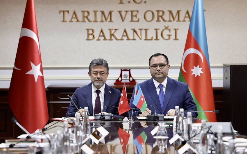 Azərbaycan və Türkiyə aqrar sahədə əməkdaşlığın perspektivlərini müəyyənləşdirib