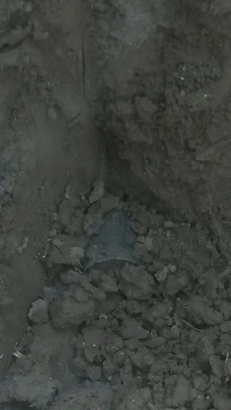 ​Ermənistan Azərbaycana fosforlu bomba atıb