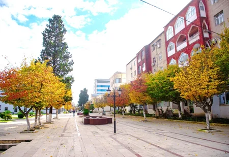 Lənkəranda Qızıl payız - FOTOREPORTAJ