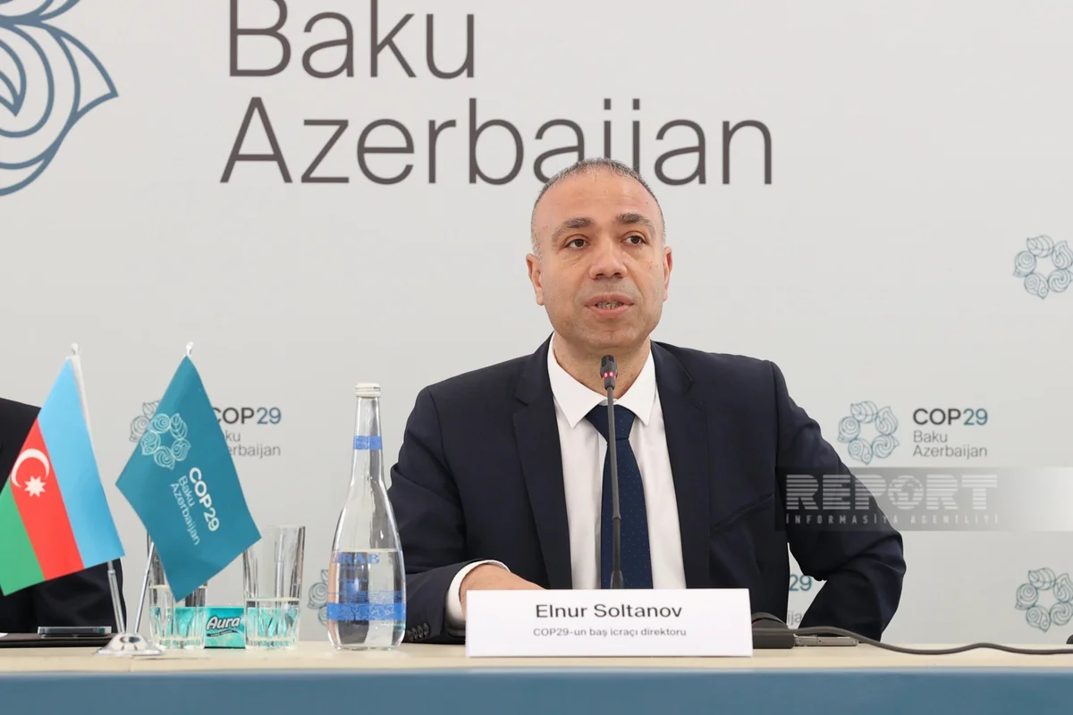 Elnur Soltanov: Ermənistanın COP29-un Azərbaycanda keçirilməsi üçün atdığı addım çox yaxşı əlamət idi